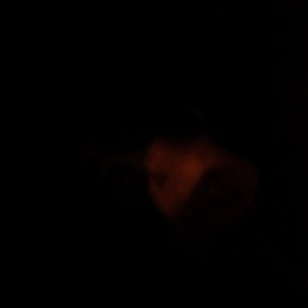 Dark low-key photograph of a glowing shield emblem on a soft-lit screen, suggesting protection and security.